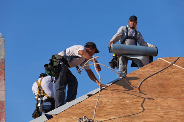 Best Commercial Roofing Services  in Ridgewood, IL